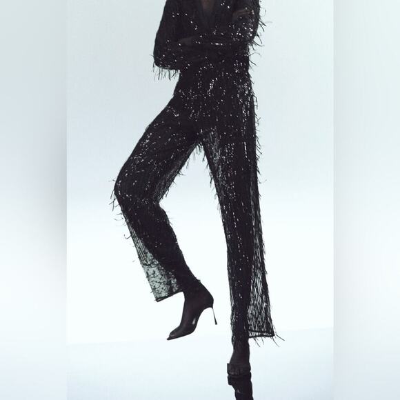 ZARA FRINGED SEQUIN SEMI-SHEER PANTS Size Small - Picture 1 of 13